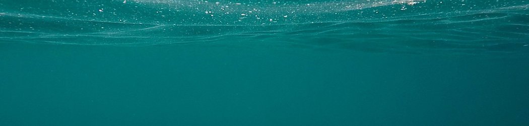UV Water Purifiers