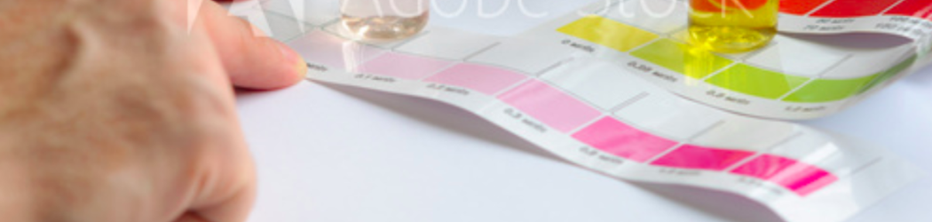 Water Test Kit