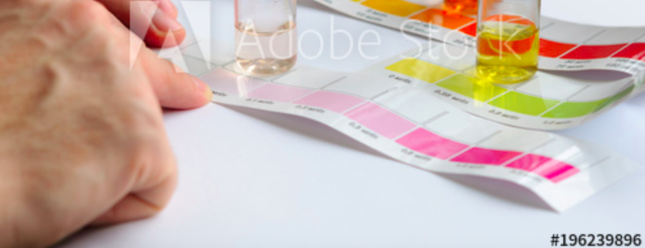 Water Test Kit
