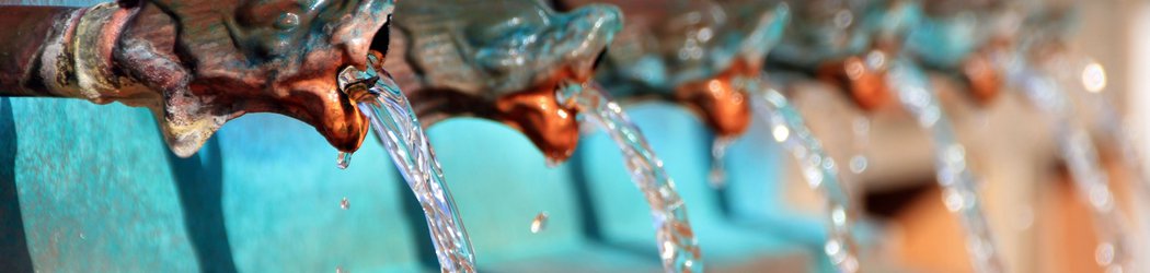 Reality Check: How Safe Is the Drinking Water from a Public Fountain?